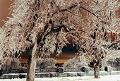 Frozen Niagara '08